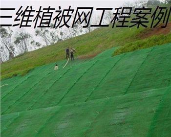 什么情況下采用三維植被網(wǎng)防護(hù)？