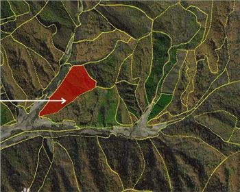 什么是影像地圖？