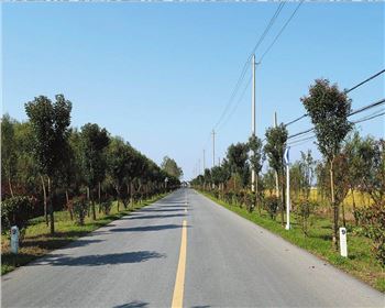  什么是公路基本建設(shè)程序？什么是公路建設(shè)項(xiàng)目經(jīng)濟(jì)評(píng)價(jià)？